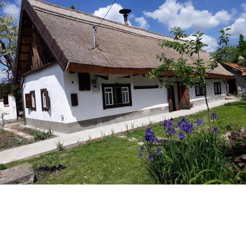 Forrás