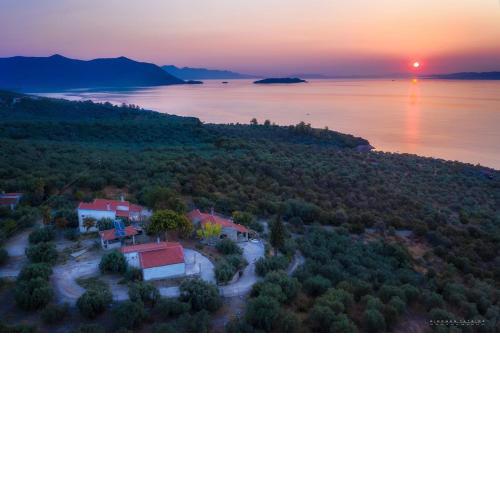 FOUR INDEPENDENCE HOUSES BY THE SEA