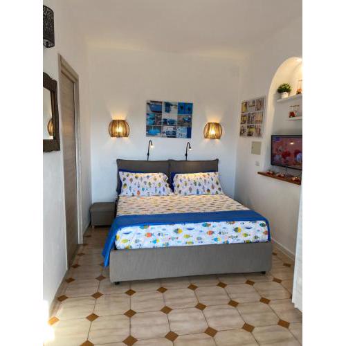francesco 27 apartament