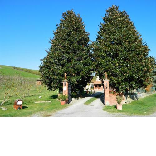Francigena