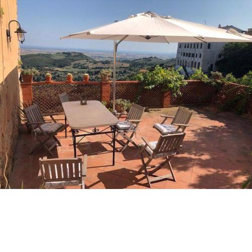Frantoio-di-Campiglia