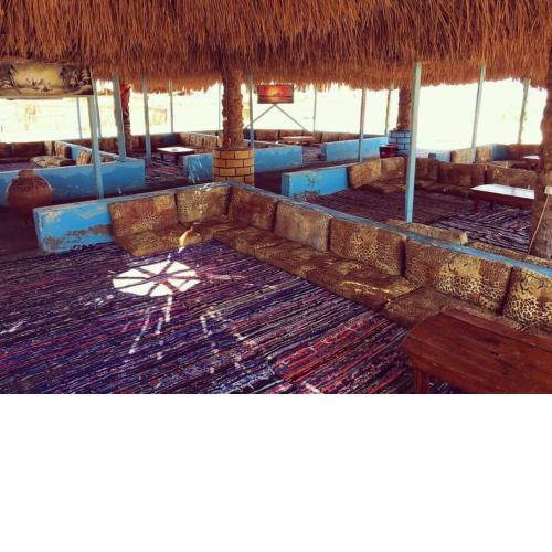 Free Beach Camp