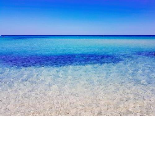 Free Beach Holiday Home