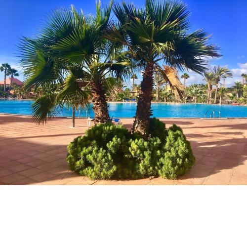 Fuerteventura Apartments Corralejo