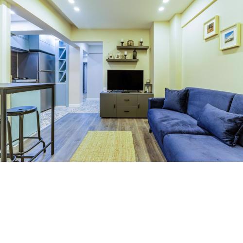 Fully Furnished Centrally Located Flat in Sisli