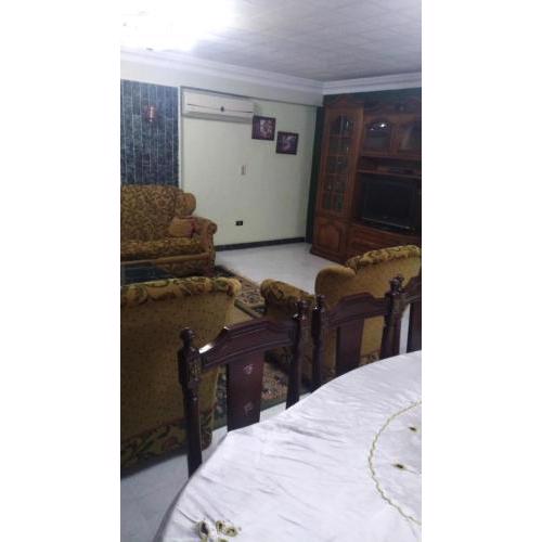 Fully furnished luxurious apartment in the center of new cairo