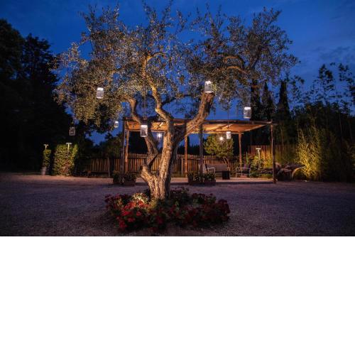 Fuori le Mura