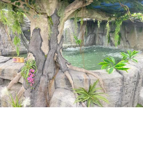 Futurotel Suites Spa Garden