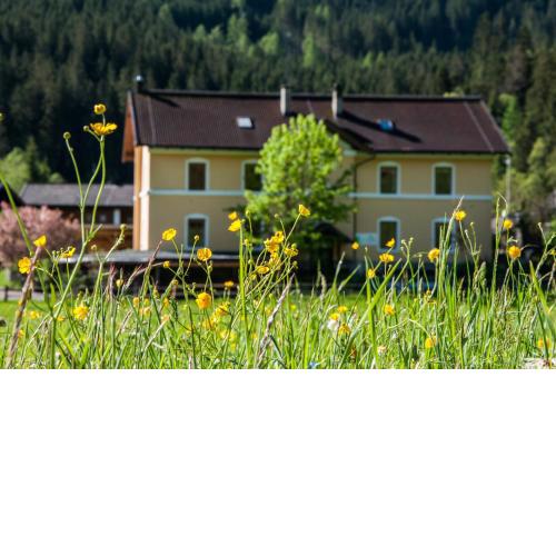 Gabis Lodge