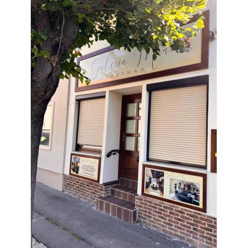 Galéria Mini Apartman