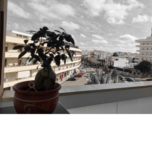GALLERIA DEL CORSO APARTMENT MILD