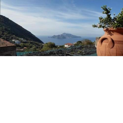 GaLu - Piccolo appartamento in Costiera Sorrentina,Amalfitana