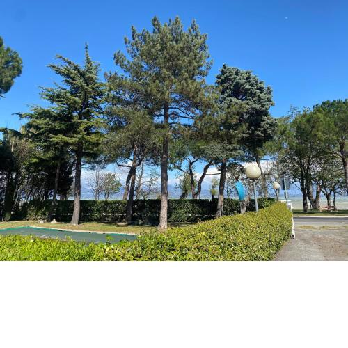 GARDASEE APPARTAMENTO CON PISCINA