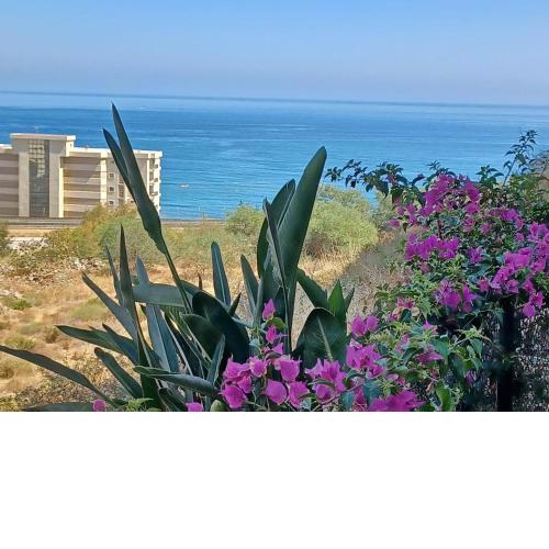 Garden apartment with sea view in Fuengirola