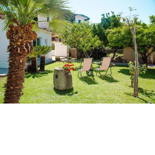 Garden apartments Ischia Monolocale super centrale