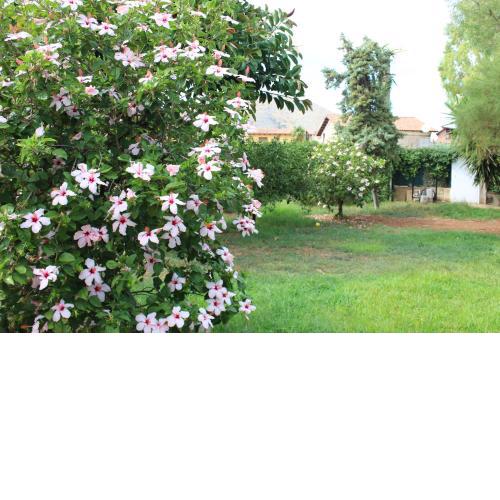 Garden House Mondello Palermo