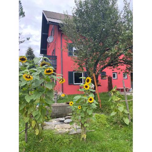 Gartenappartement Schaffler