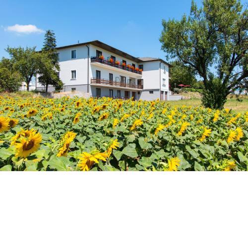 Gasthof-Pension Wein