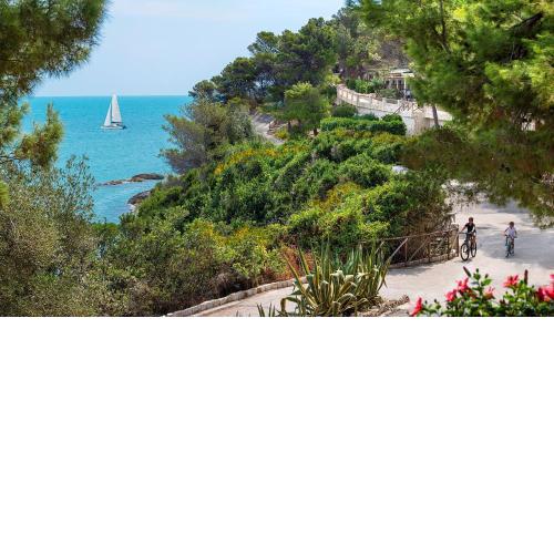 Gattarella Family Resort - Self catering accommodations in the pinewood