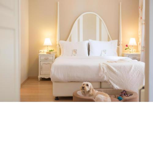 Gatto Perso Luxury Studio Apartments
