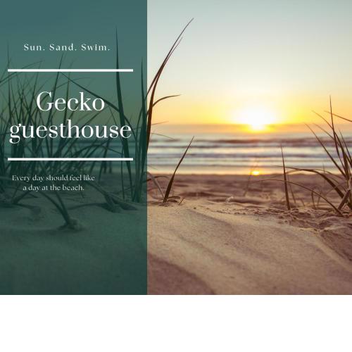 Gecko guesthouse