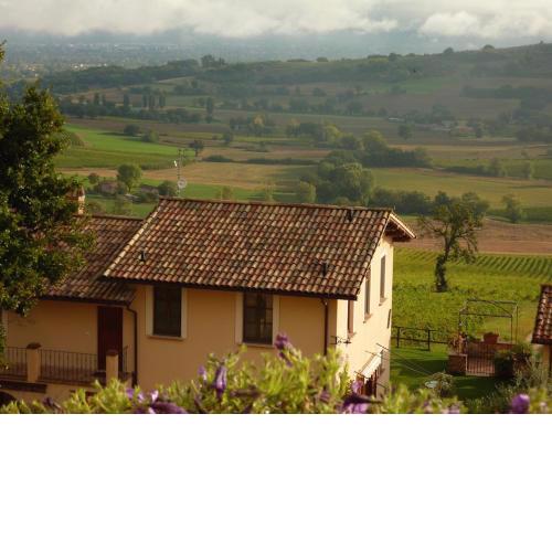 Genius Loci Country Inn