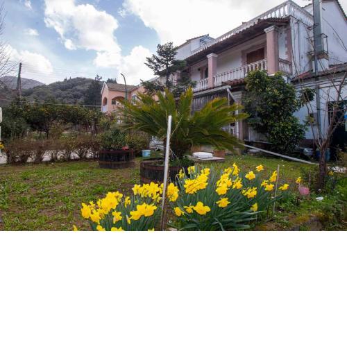 Georgias Loft Acharavi Corfu