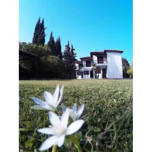 GeoVilla Green & Blue 2 - Pefkochori