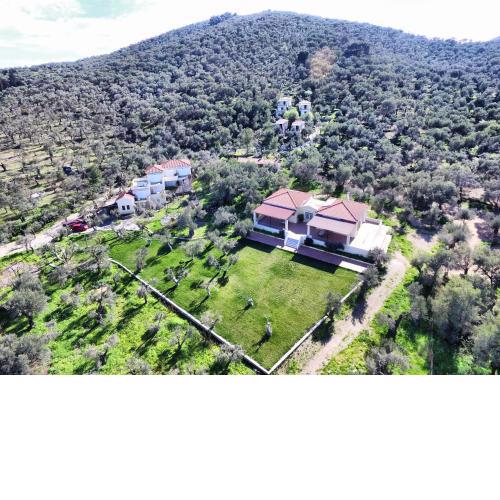Gera's Olive Grove - Elaionas Lesvou