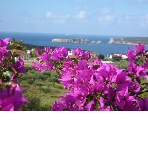 Gianna's Guesthouse