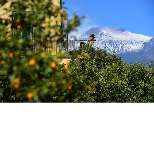 Giardino Arancio