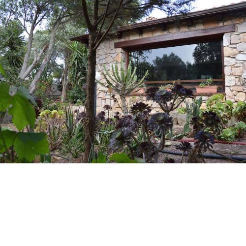 Giardino degli Ulivi