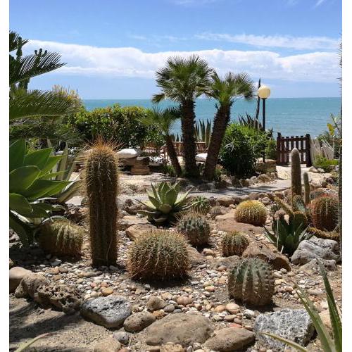 Giardino sul Mare