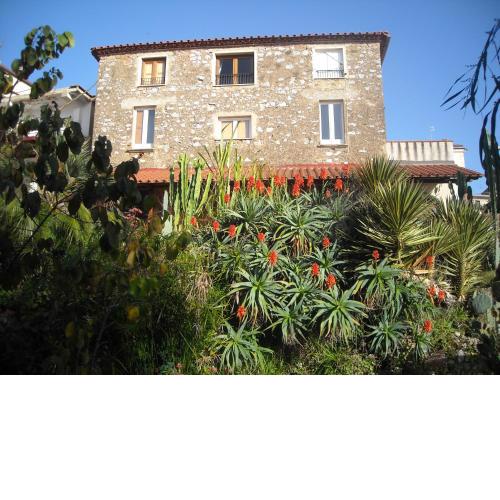 Gigia's House