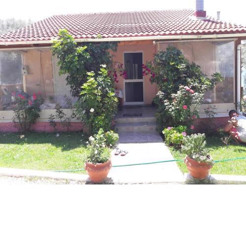 Giota's House