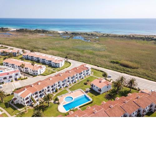 Girasol Garden Superior 2