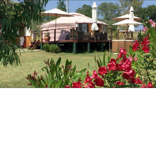 Glamping Abruzzo - The Yurt
