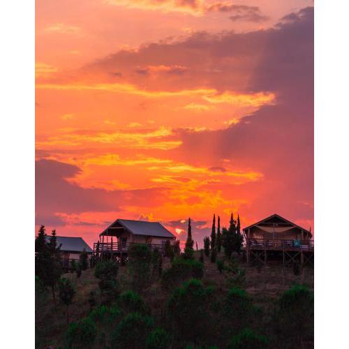 Glamping Diacceroni