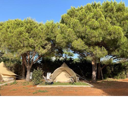 Glamping La Mimosa CONIL