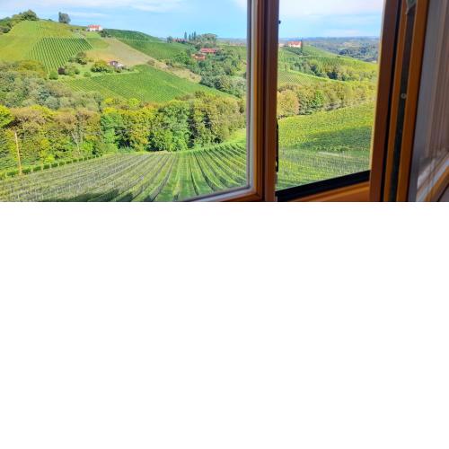 Glanz und Gloria Weingartenappartement