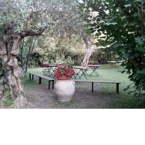 Gli Ulivi Bed & breakfast