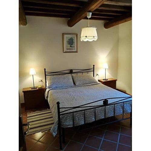 Glicine ad Antico Casale '700