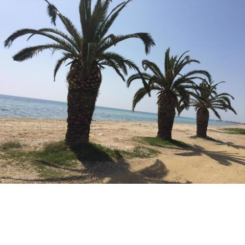 Golden Beach Apartment