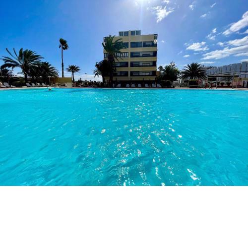 Golden Palm Tree Apartment