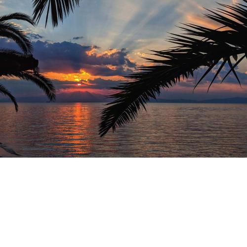 Golden Sunset