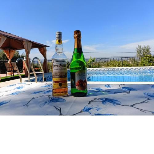 Good view,biggest pool 78 m2,summer resort,forest,hill,squirrel,rider,in City of misic