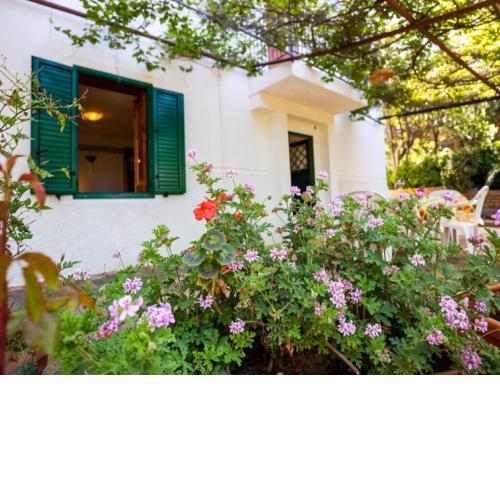Gorgeous Villa in Ricadi with Shared Garden