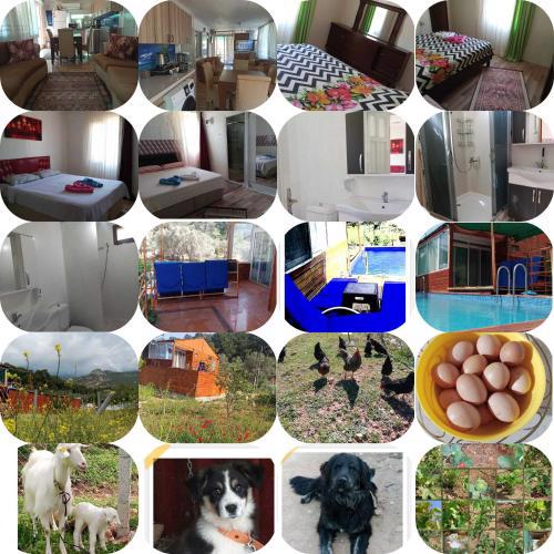 Gözbebeğim Yazlık Tatil Evi