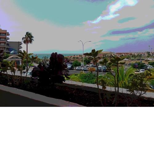 Grand appartement, vue sur océan
