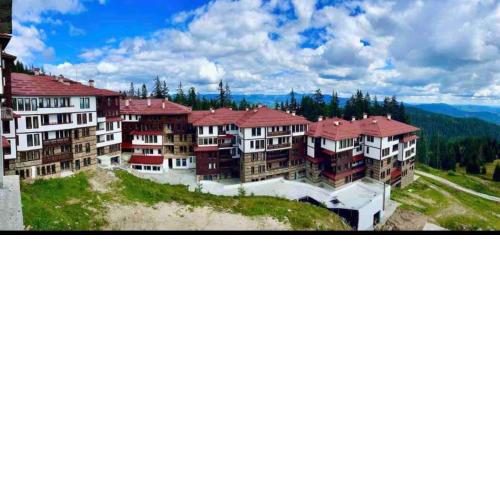 Grand resort Pamporovo